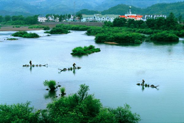 浙江仙居：探寻乡村旅游的“共富密码”