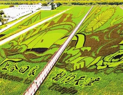 “农”墨重彩促振兴，津沽大地绘新卷！