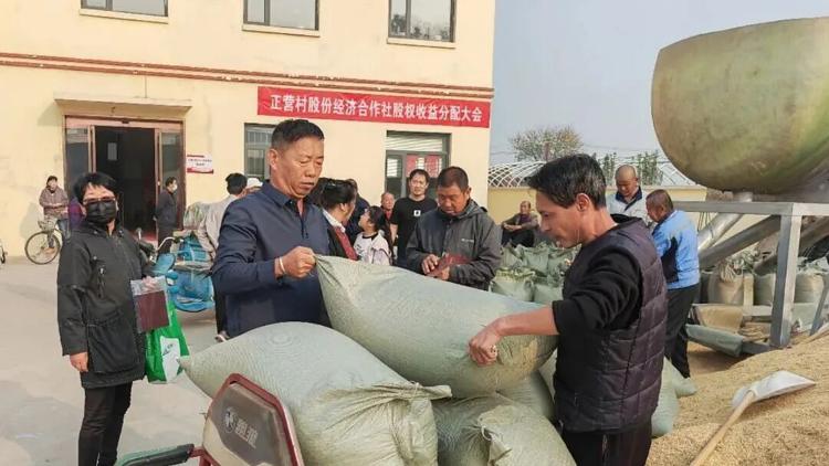 “农”墨重彩促振兴，津沽大地绘新卷！