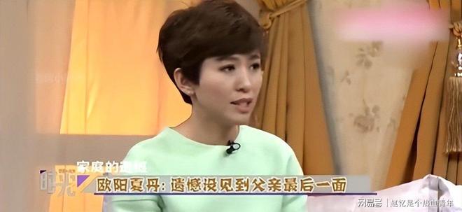 欧阳夏丹48岁改行成功，央视主持人的转型之路