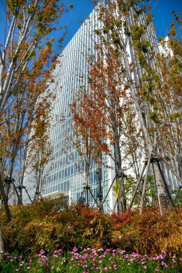 在这个晚秋时节，一起走进CCD里的郑报集团新址