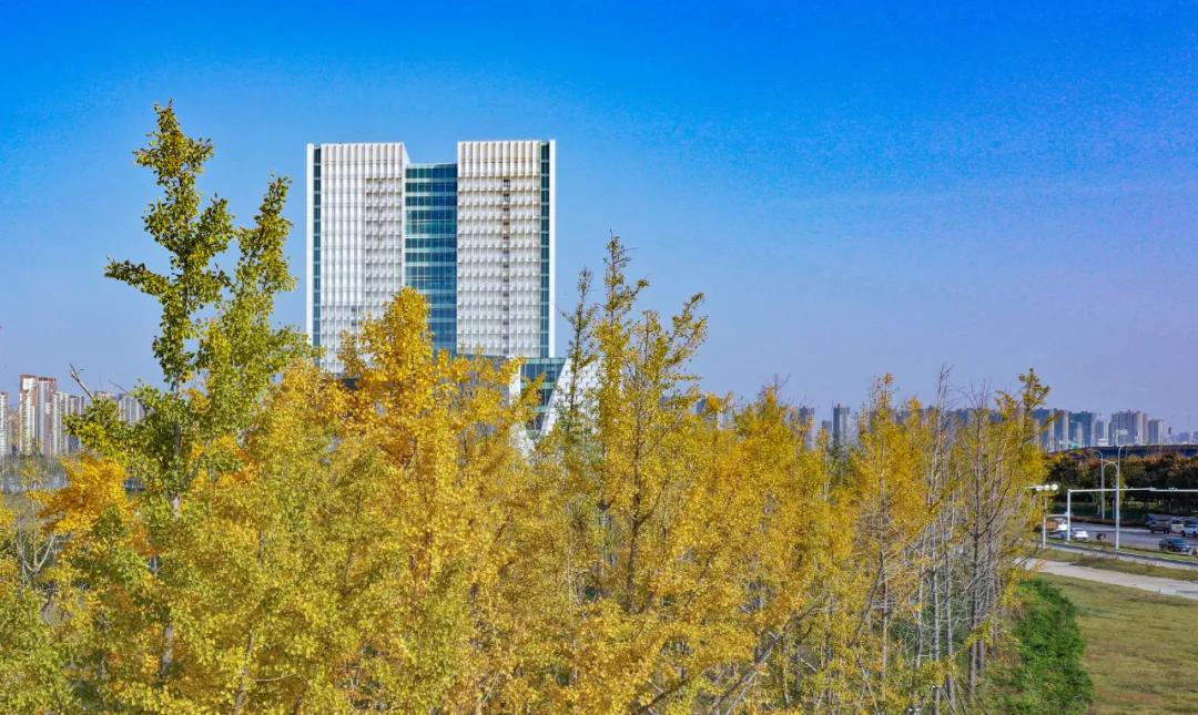 在这个晚秋时节，一起走进CCD里的郑报集团新址