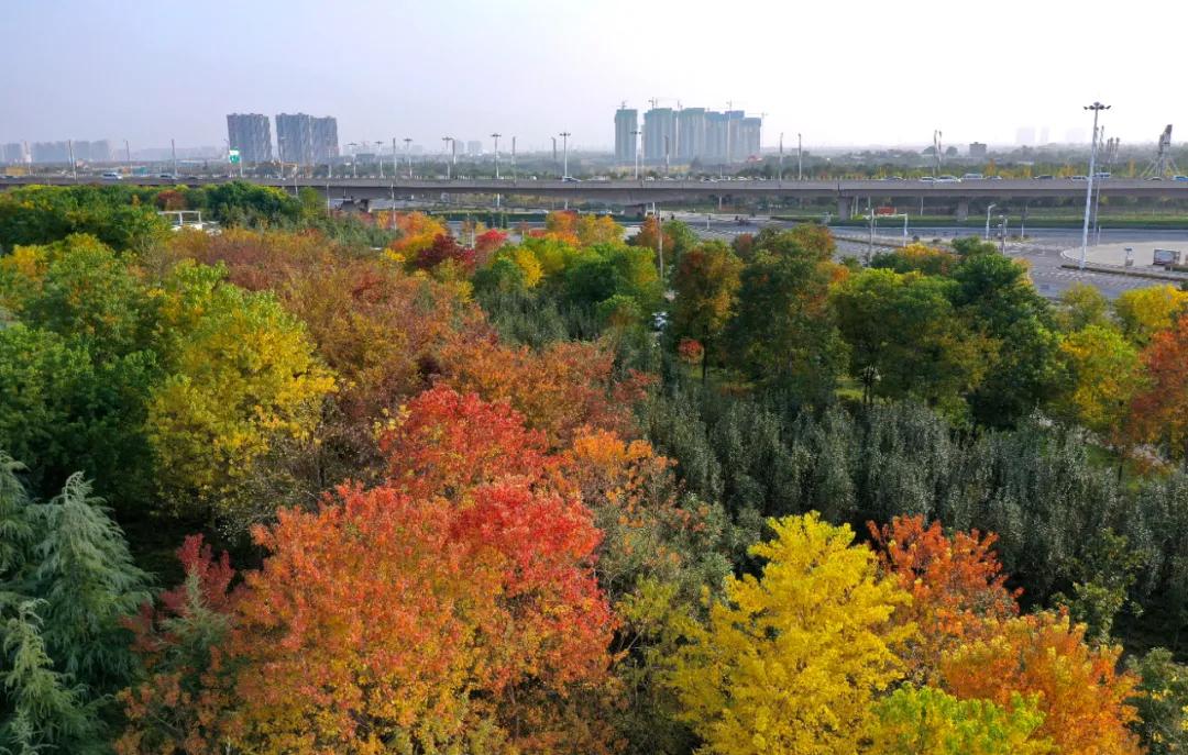 在这个晚秋时节，一起走进CCD里的郑报集团新址