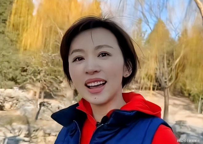 欧阳夏丹转行揭秘:5年真相曝光,触动人心