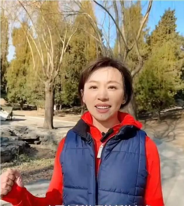 消失4年，央视“国脸”欧阳夏丹成功转行！背后原因让千万人落泪