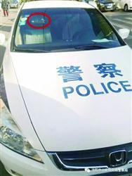沈318辆警车安记录仪抓拍八项违法行为