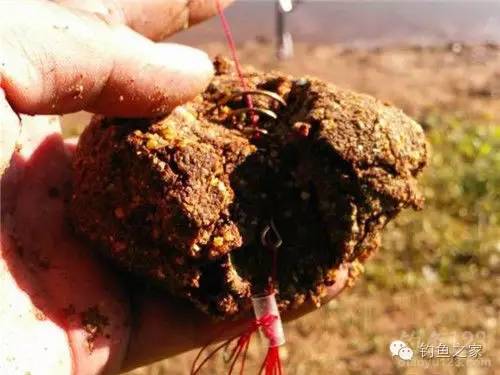 钓技 | 你的爆炸钩饵使用到位了吗？