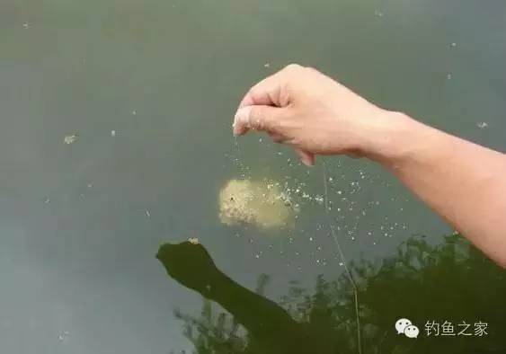 钓技 | 你的爆炸钩饵使用到位了吗？