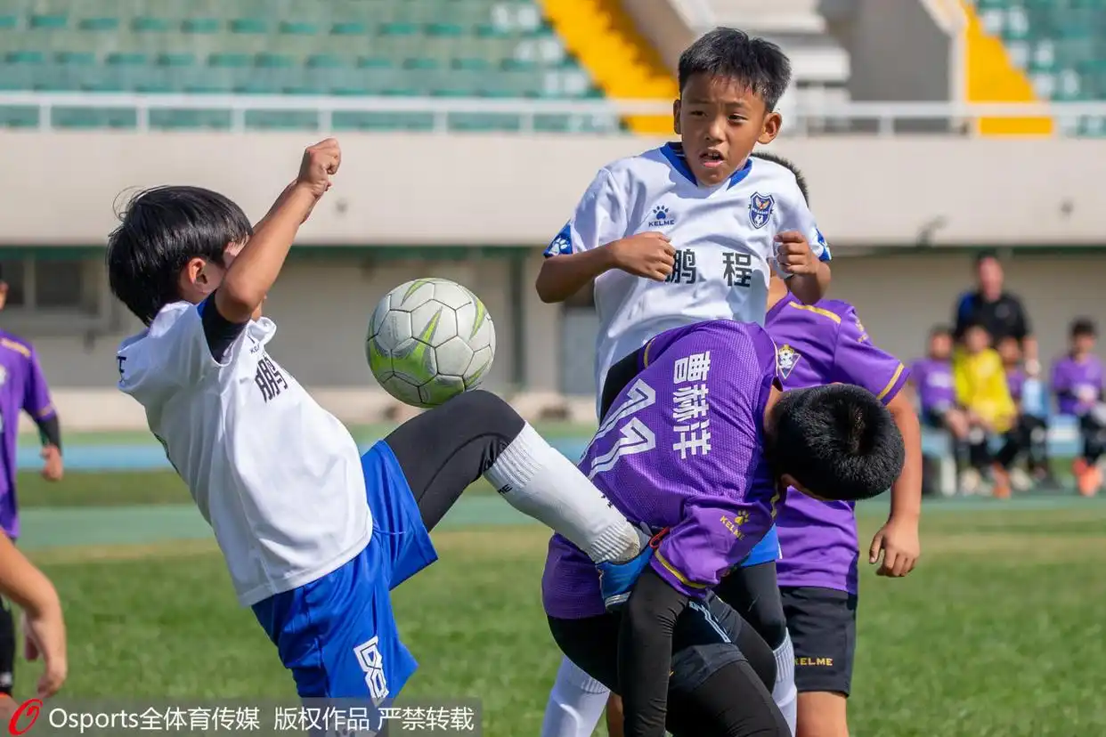孩子几岁能参加专业体育培训？牢记各项目特点，家长别着急