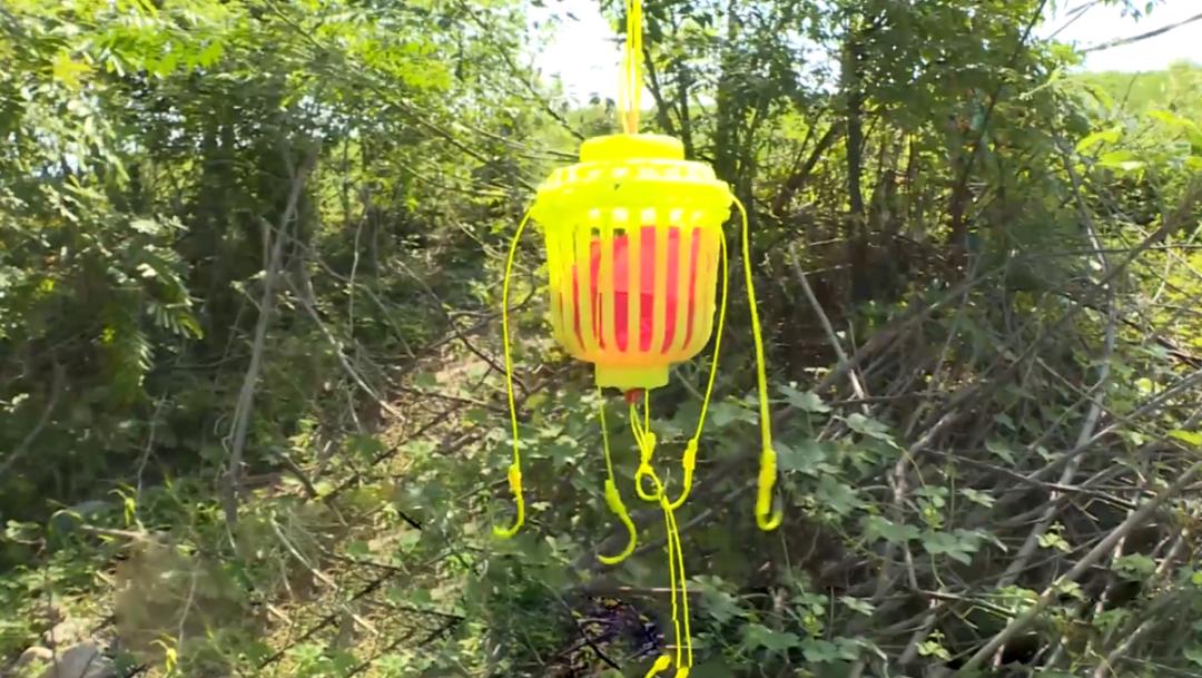 鱼不可乱钓,使用“爆炸钩”钓鱼可入刑