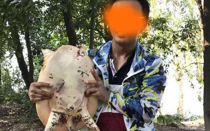 开局一个瓶子一根线，鱼获全靠捡！逆天的钓鱼土炮玩法全攻略！