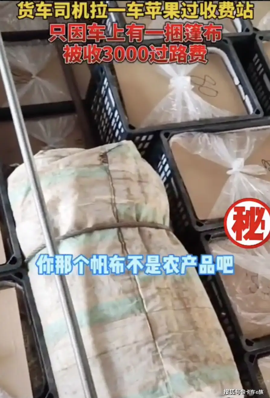央视点赞收费站微笑小姐姐！卡车司机：爱了，爱了