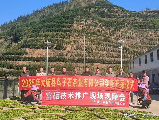 梅州市大埔县光德镇入选广东省“百千万工程”第三批典型镇村