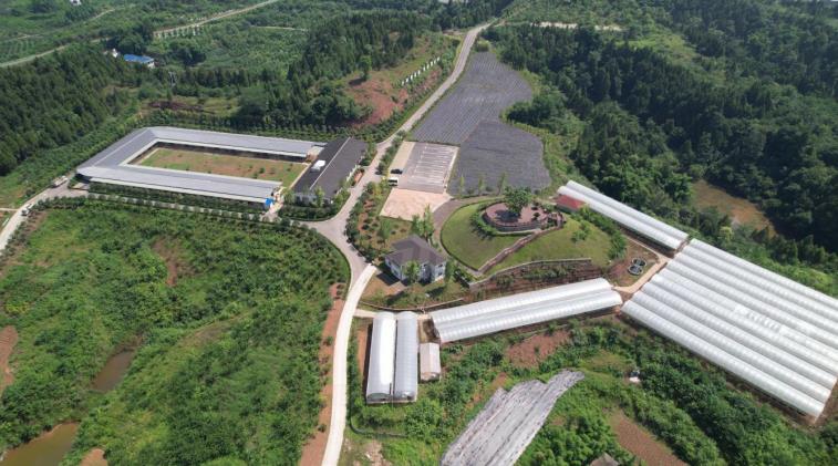 央视网大型直播节目《新时代·瞰百城》走进营山