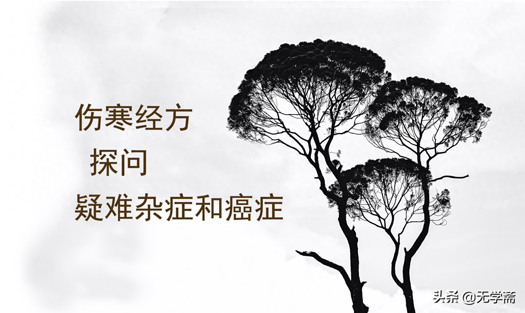 伤寒经方探问疑难杂症和癌症总论(四)