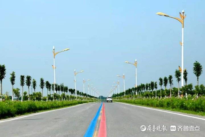 乡村振兴，交通先行！无棣县车王镇“网红路”改善大民生