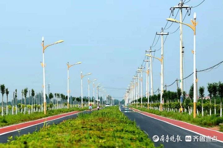 乡村振兴，交通先行！无棣县车王镇“网红路”改善大民生