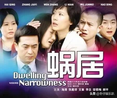 11年前大火的《蜗居》为何被禁播？看完缘由真佩服，这剧可真敢拍