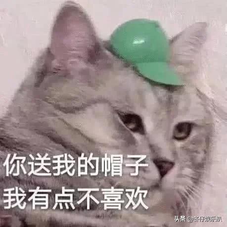 11年前大火的《蜗居》为何被禁播？看完缘由真佩服，这剧可真敢拍