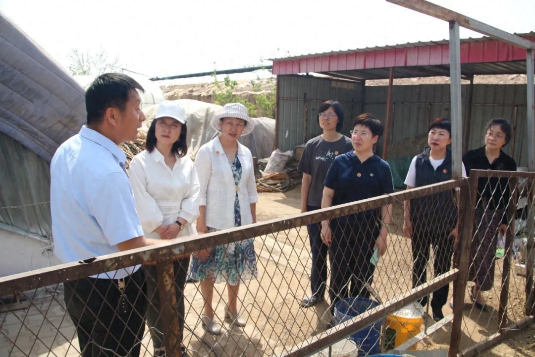 如何推进中华民族共有精神家园建设？全国政协调研组赴内蒙古、山西开展专题调研