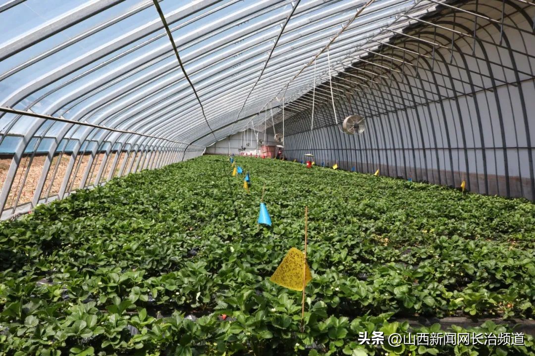 向美而生日日新——沁源县“一城两中心”联创城市美好生活