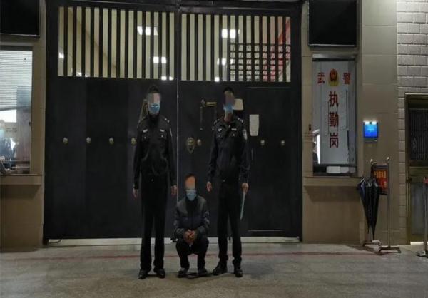 失火烧毁三百多亩森林 广西贺州一男子被刑拘