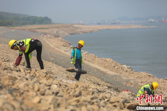 「巍巍三峡」长江干流江西段崩岸应急治理工程施工“进行时”：作业不停 生态护岸
