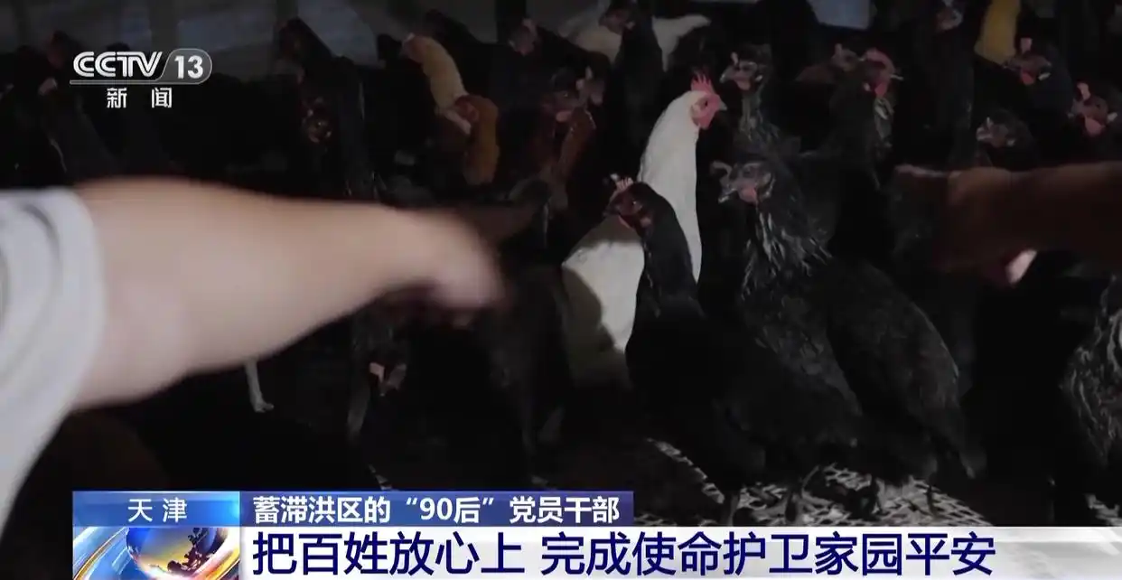 天津蓄滞洪区的“90后”们 脚踏实地守护村庄安全
