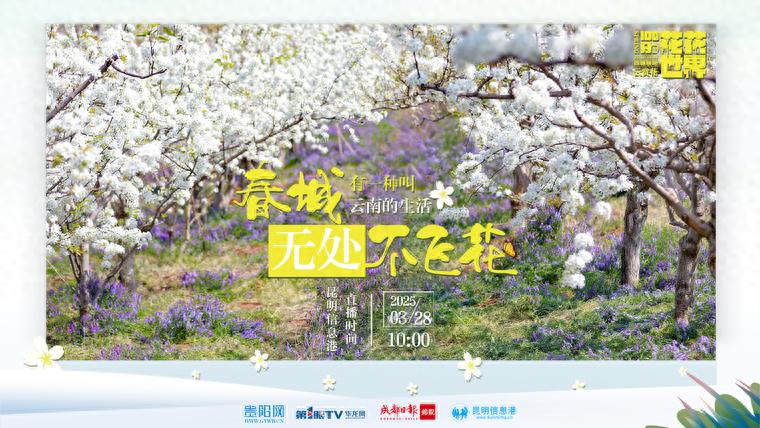 重庆x成都x昆明x贵阳四城“云赏花”联动直播 网民点赞春城烂漫花海