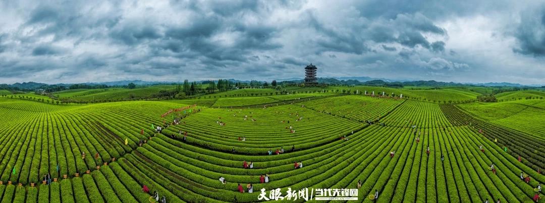 湄潭：全力推动“兴业强县富民”一体发展