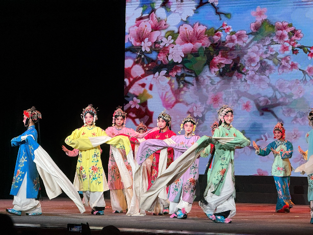 青春戏韵绽芳华，剧场温度暖人心——“戏苑青春我最美”2025年襄阳市青年演员展演圆满落幕
