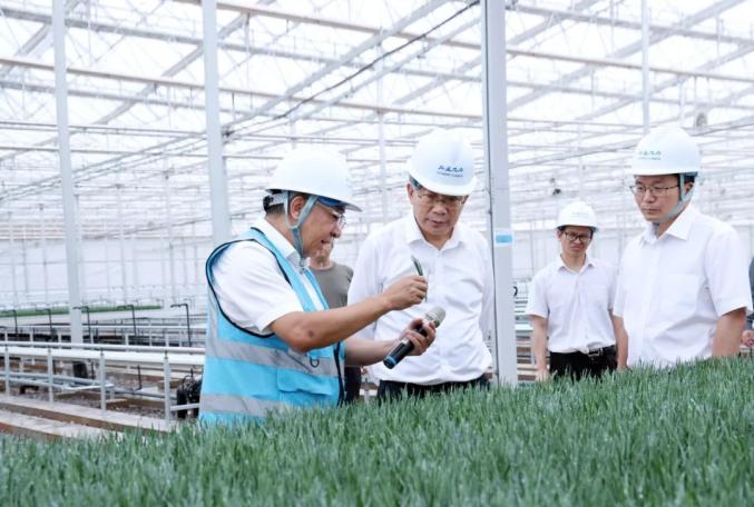杨承新在宜良县调研时强调：做强优势产业 做优营商环境 以新质生产力升级促县域经济高质量发展