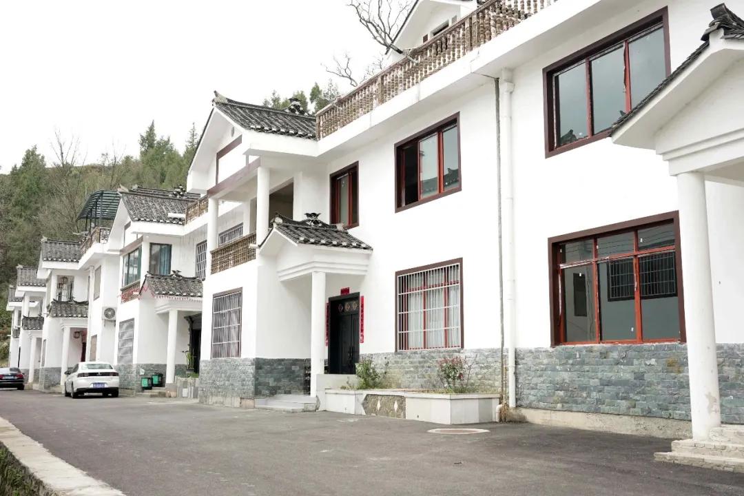 乡村行·看振兴丨贵阳知青重返湄潭高台吊铃塘，昔日山村变了样！