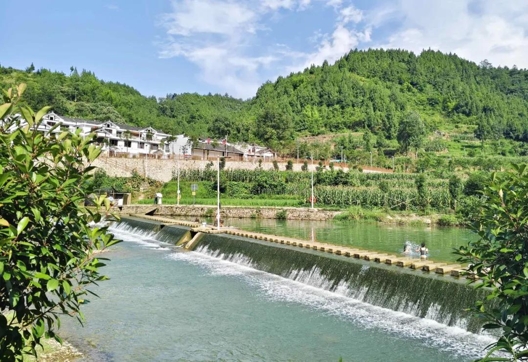 乡村行·看振兴丨贵阳知青重返湄潭高台吊铃塘，昔日山村变了样！