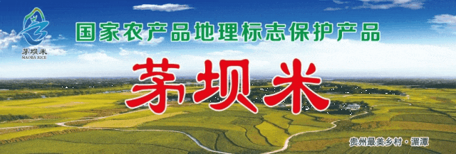 乡村行·看振兴丨贵阳知青重返湄潭高台吊铃塘，昔日山村变了样！