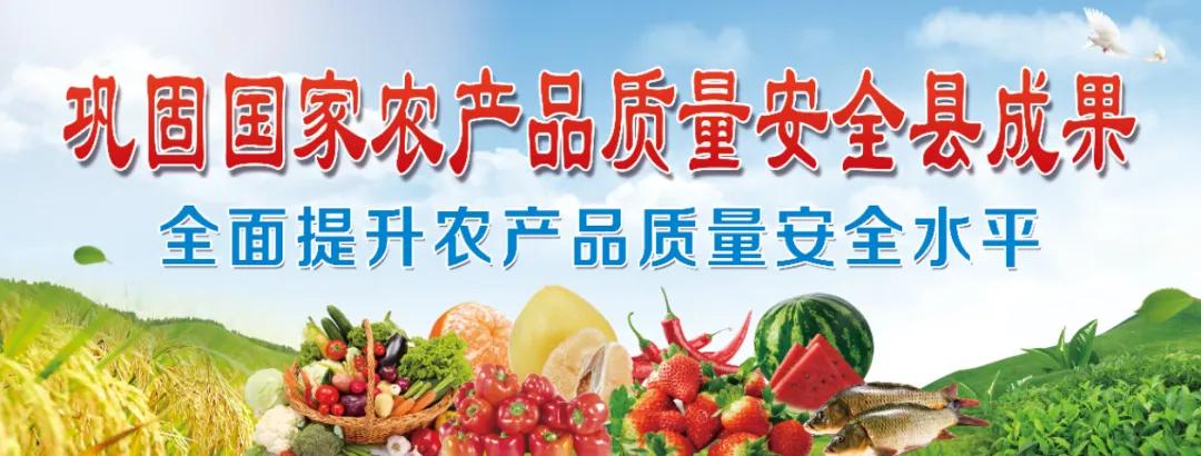 乡村行·看振兴丨贵阳知青重返湄潭高台吊铃塘，昔日山村变了样！