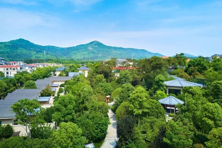 速看！襄阳演唱会杀疯了！还有免费景区直接冲！