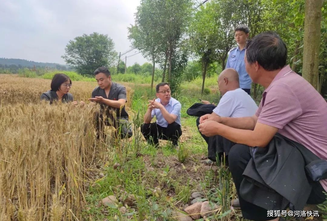 河南省汝阳县人民法院召开“发扬枫桥经验，建设特色法庭”新闻发布会