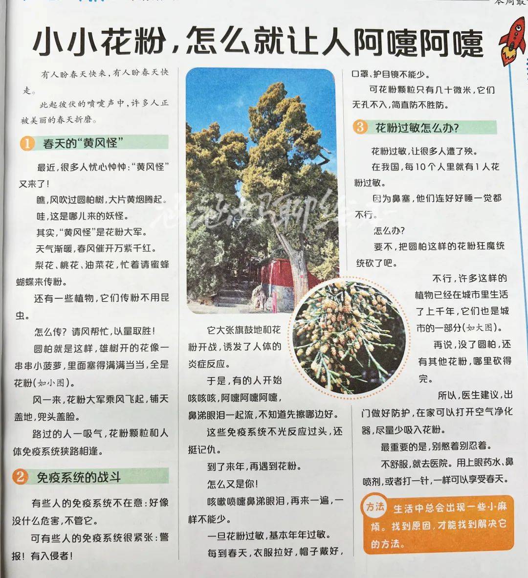 见过世面的孩子长什么样？每周3块钱，这绝对是最低成本的方式！