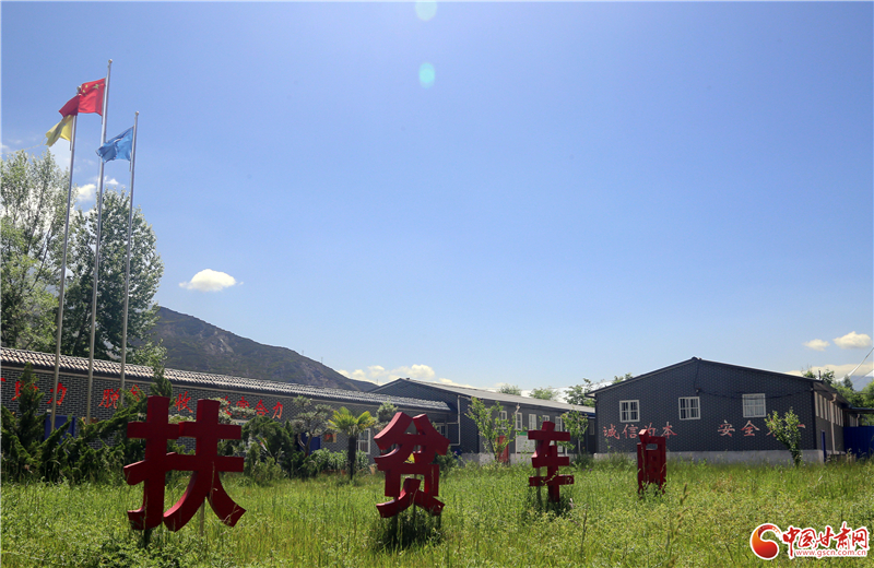 「喜迎省第十四次党代会·绘就乡村振兴新画卷」宕昌沙湾镇：特色产业引领振兴路