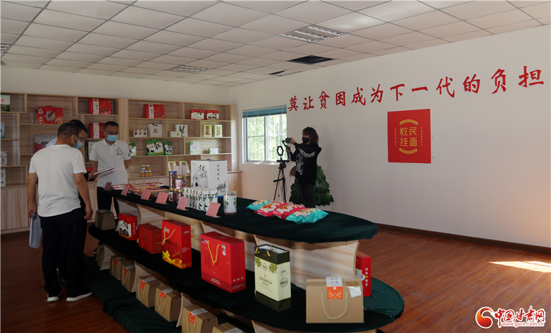 「喜迎省第十四次党代会·绘就乡村振兴新画卷」宕昌沙湾镇：特色产业引领振兴路
