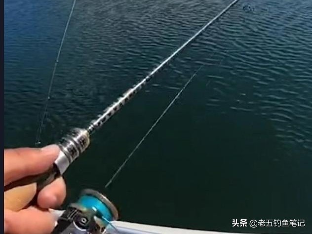 远可以攻大鱼，近可以守小鱼，钓遍全水层所有鱼，海竿的多种钓法