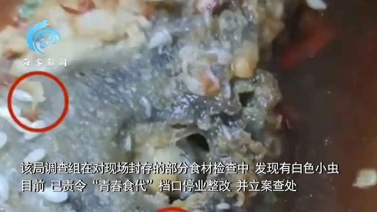 “焦作师专食堂烤鱼现蛆虫”属实，高校食品安全保障不能光靠学生爆料