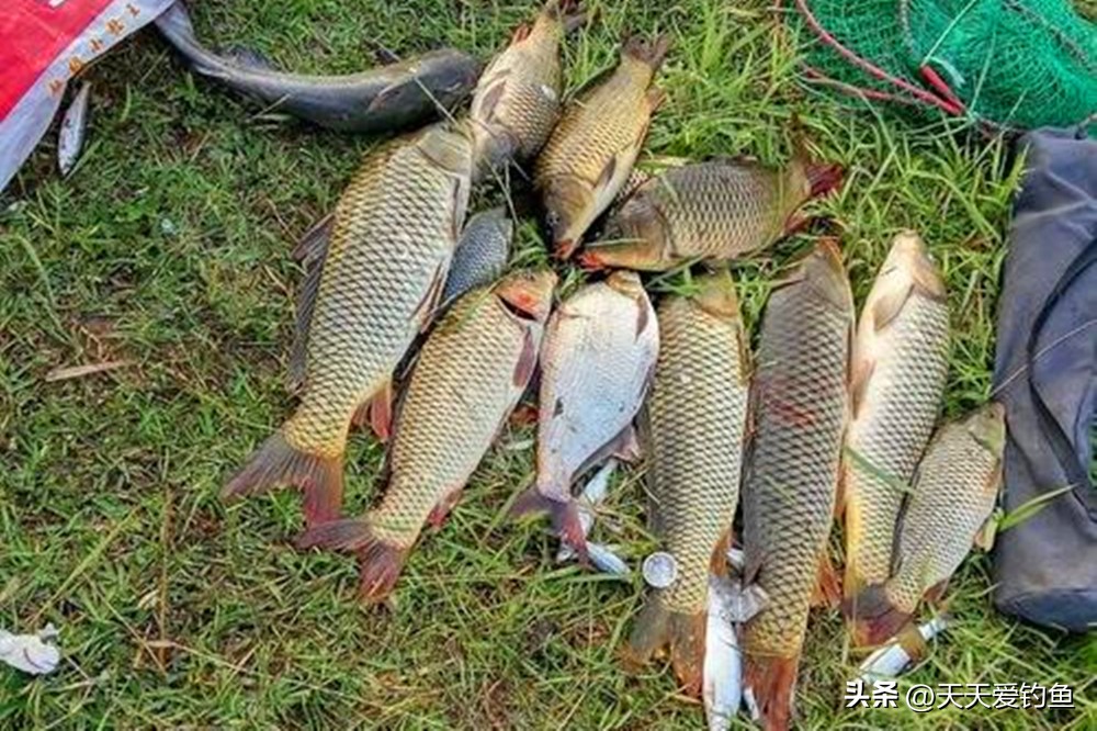 大水面野钓大鱼，串钩的4个灵活用法，不惧鱼情变化