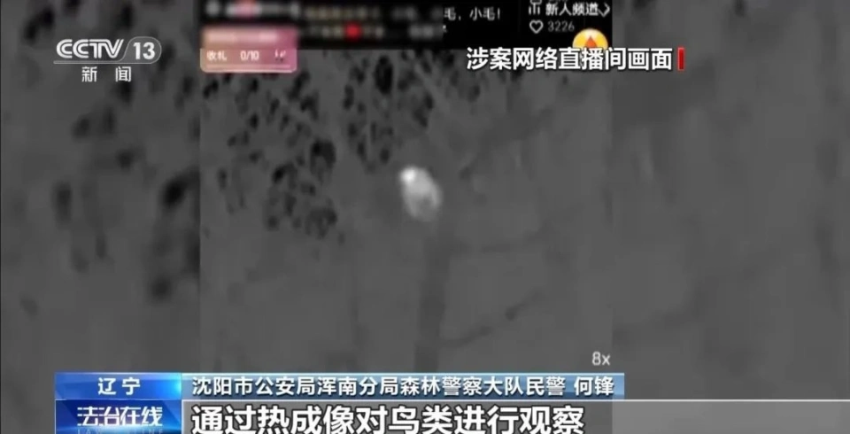 主播为“涨粉”直播猎鸟，线上教学、销售捕猎工具，5人被采取刑事强制措施