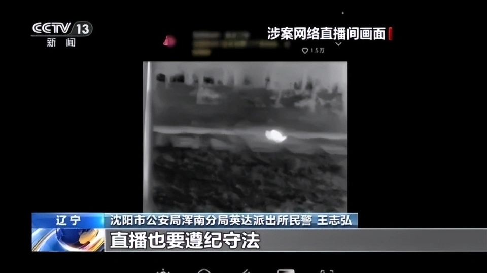 主播为“涨粉”直播猎鸟，线上教学、销售捕猎工具，5人被采取刑事强制措施