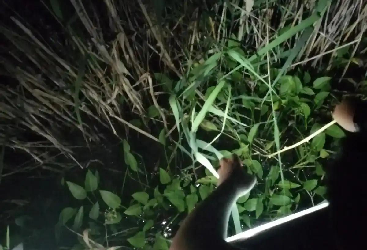 男子晚上钓鱼，钓到长相酷似小孩的水生物，村民：这莫非是水猴子