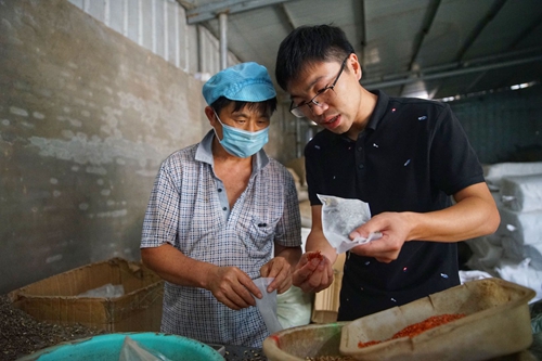 亳州谯城区：摘帽之后 更好的日子在后头