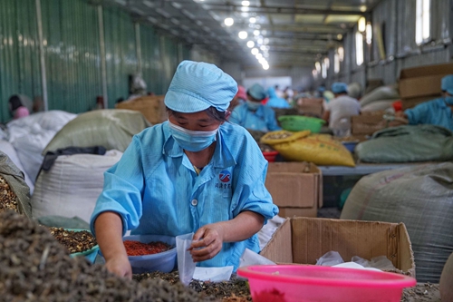亳州谯城区：摘帽之后 更好的日子在后头