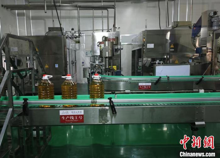 （高质量发展调研行）“良种+良法”促湖南衡南50余万亩油茶绿生“金”